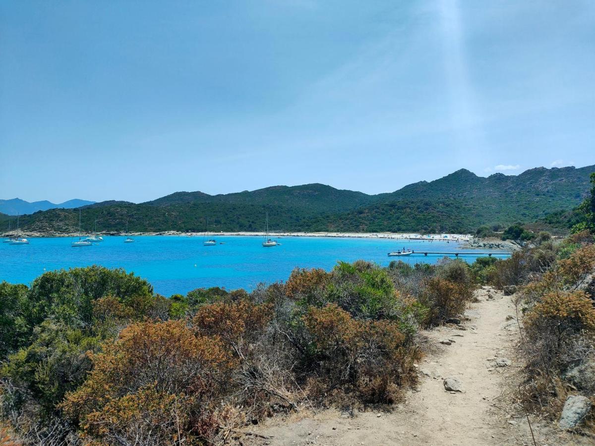 Jardin Et 2 Chambres Centre St Florent Сен-Флоран Экстерьер фото